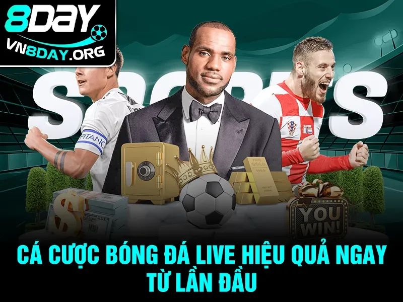 Cá cược bóng đá live hiệu quả ngay từ lần đầu